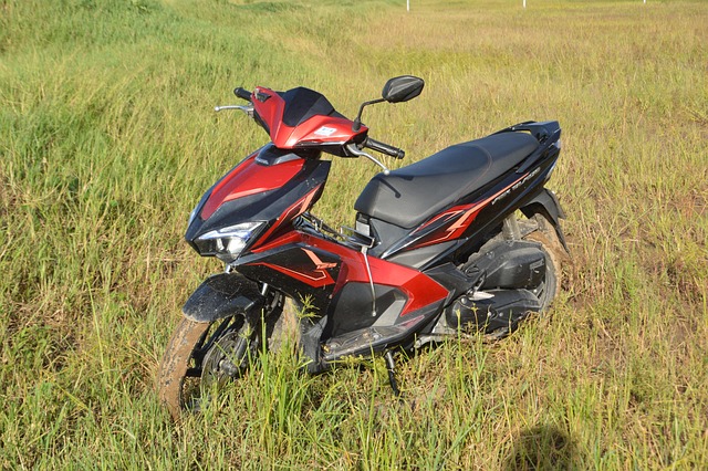 Free My Bike Vietnam photo and picture