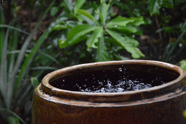 Free Water Rain photo and picture
