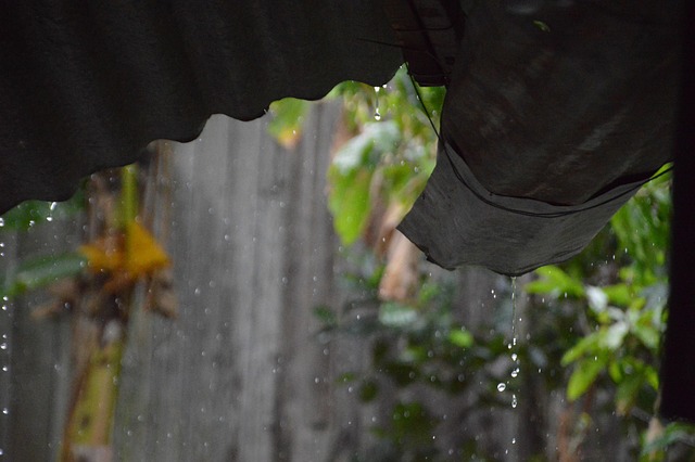 Free Rain My Home photo and picture