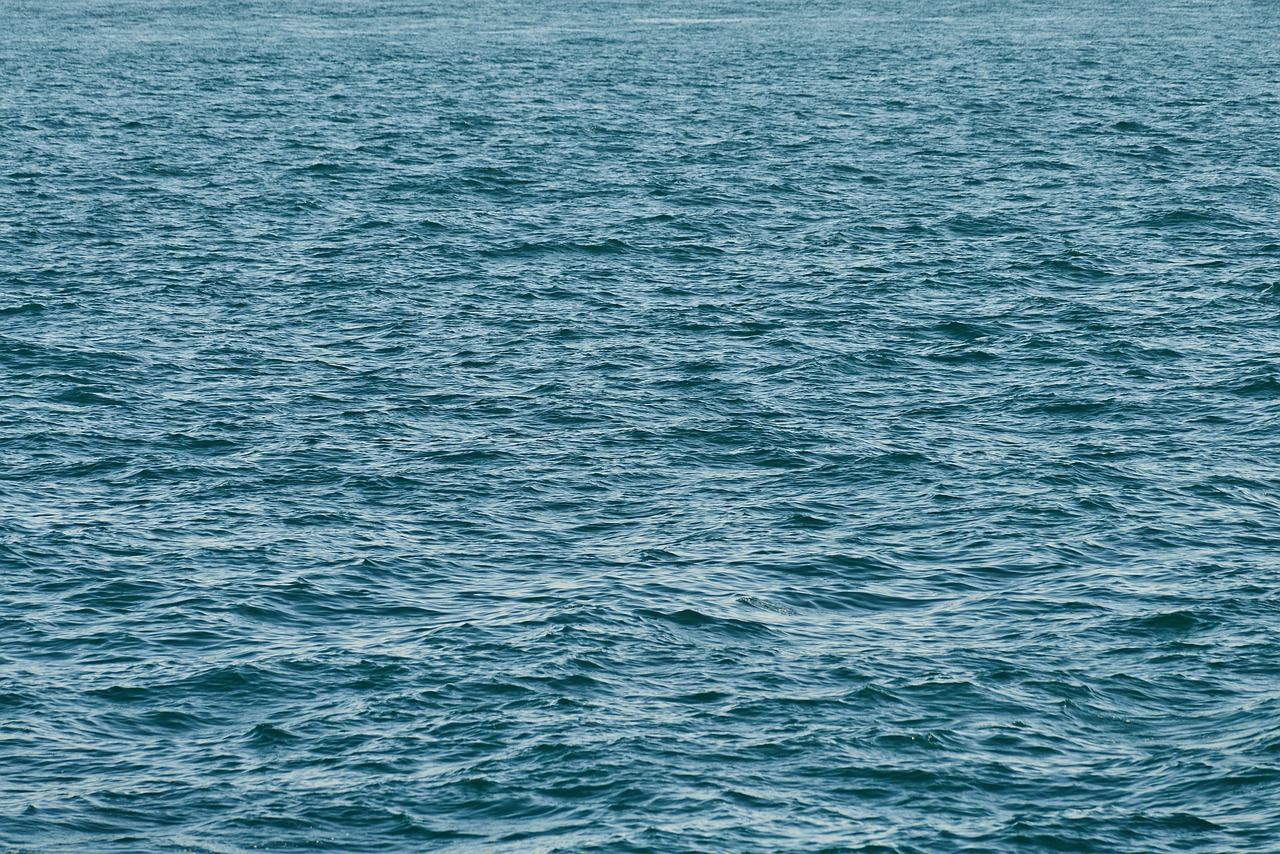 Wave - free online jigsaw puzzle photo