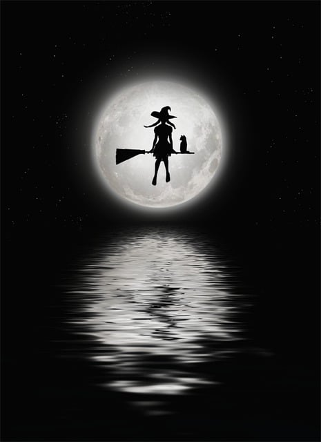 Heks, Moon, Dyr, Fuldmåne, Kæledyr