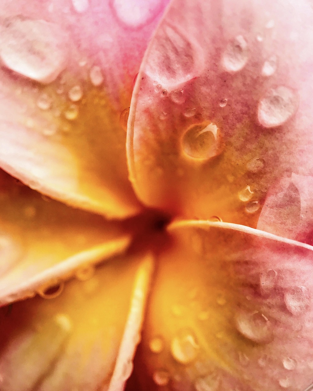 Agua Primavera Naturaleza - Foto gratis en Pixabay - Pixabay