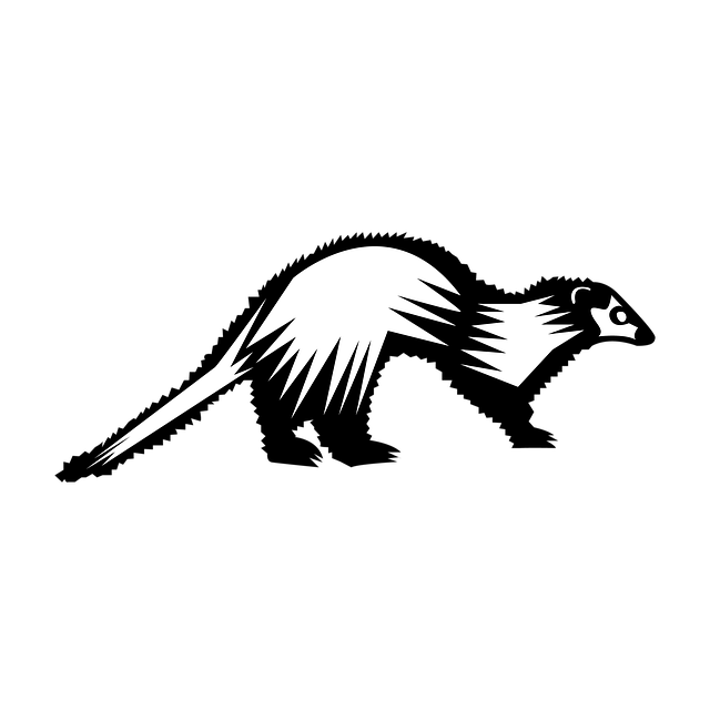 Free Huron Ferret illustration and picture