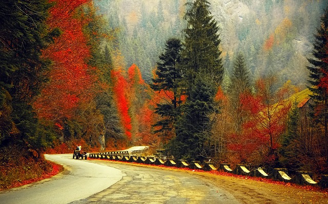 Free Road Autumn photo and picture