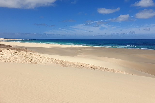 Free Beach Sand Dunes photo and picture