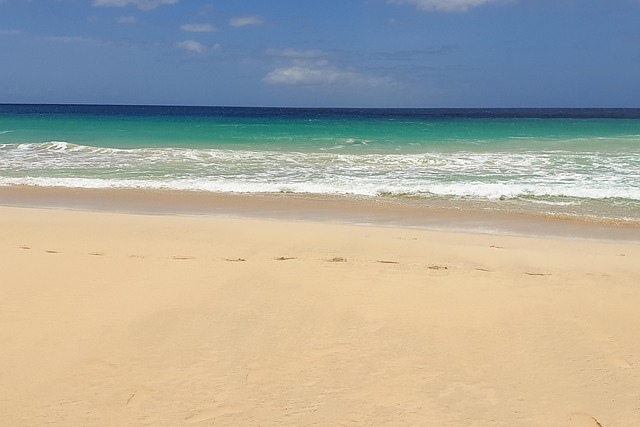 Free Beach Sense photo and picture