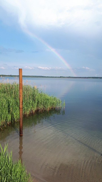 Free Lake Sun photo and picture