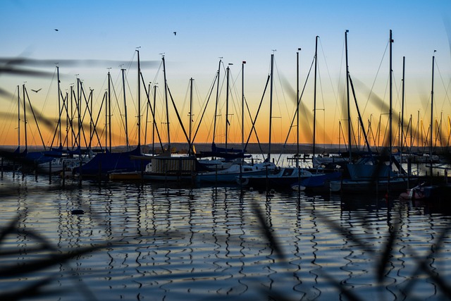 Free Steinhuder Meer Nature photo and picture