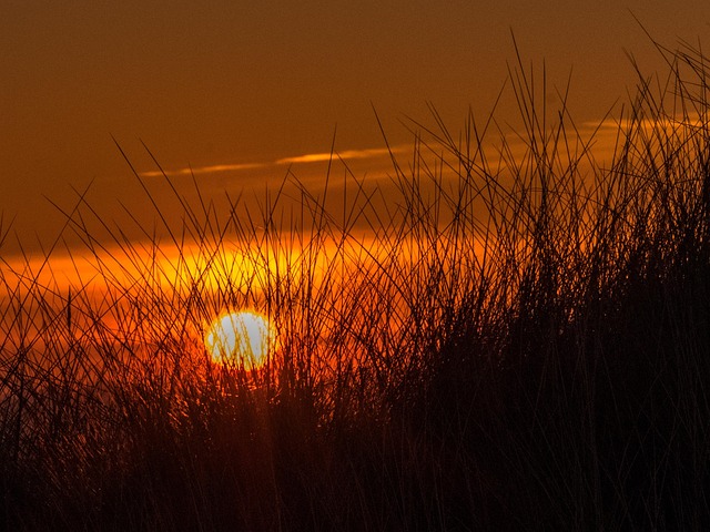 Free Sunset Beach photo and picture