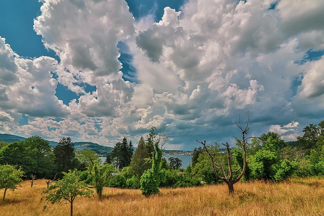 Švýcarský, Švýcarsko, Krajina, Příroda