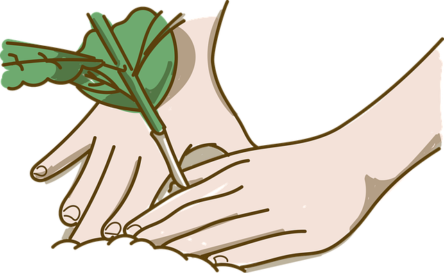 Free plant sow green vector
