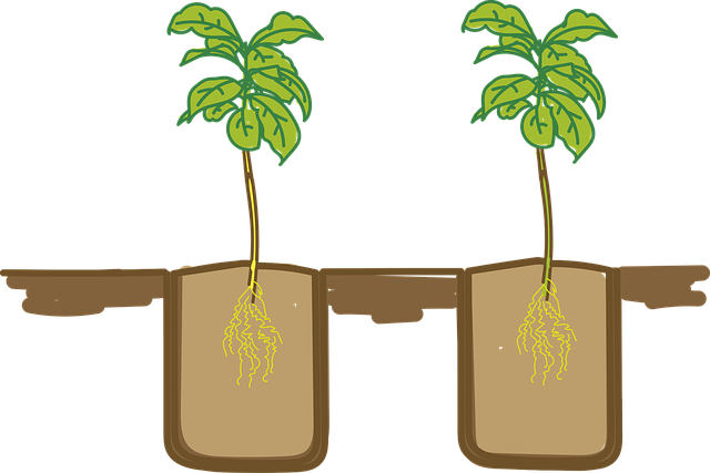 Free floors nature seedlings illustration