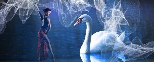 Free ballet swan ballerina illustration