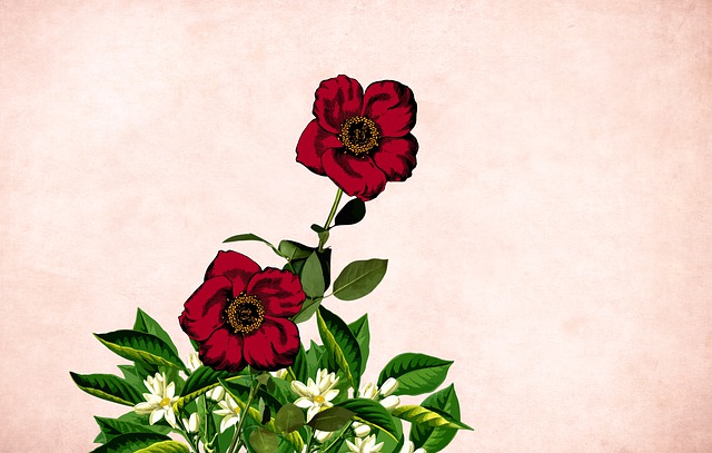 Free flower floral background happy mothers day illustration