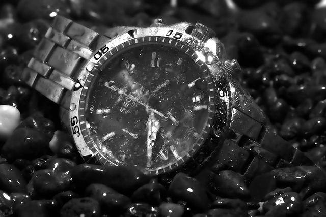 Free Watch Wristwatch photo and picture