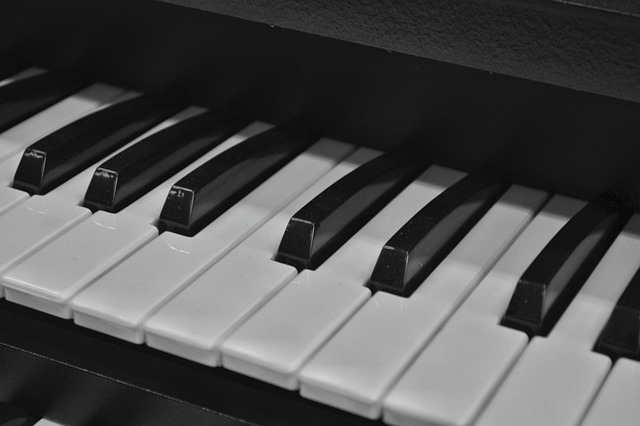 Instrumento, Piano, Blanco Y Negro