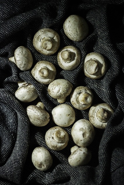 Cogumelo, Dramática, Vegetal, Comida