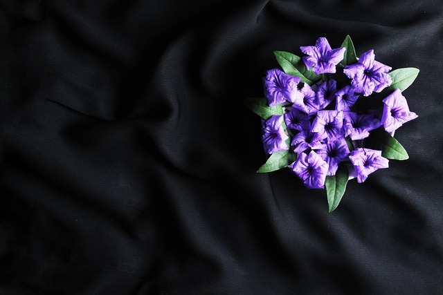 Flores, Roxa, Flores Bonitas, Bloom