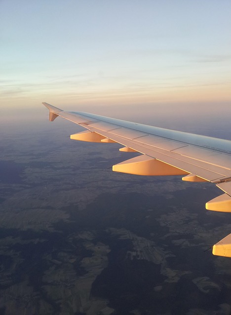 Fliegen, Flugzeug, Flugzeuge, Flügel