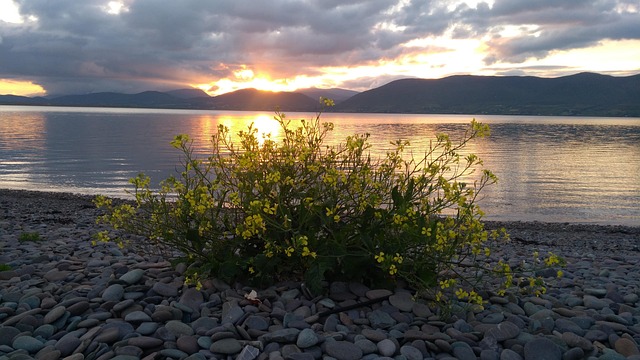 Free Sunset Beach photo and picture
