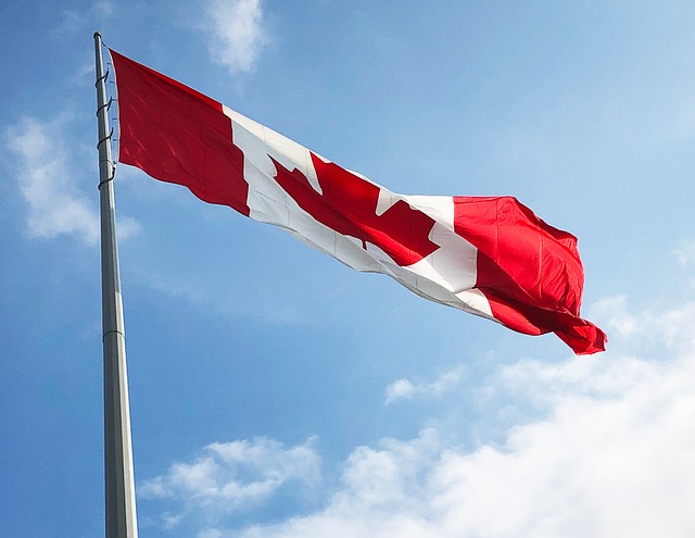 Free Maple Leaf Canada photo and picture