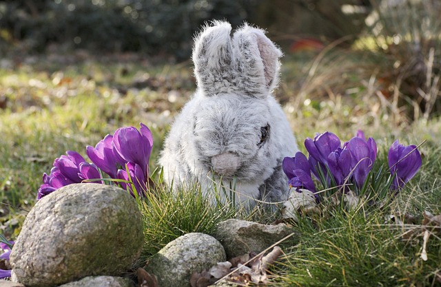 Osterhase, Osterglocken, Frühling, Hase