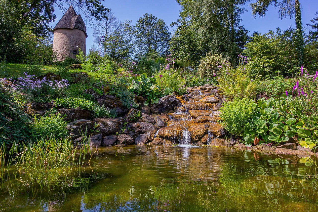 plus-de-10-000-images-de-mare-et-de-nature-pixabay