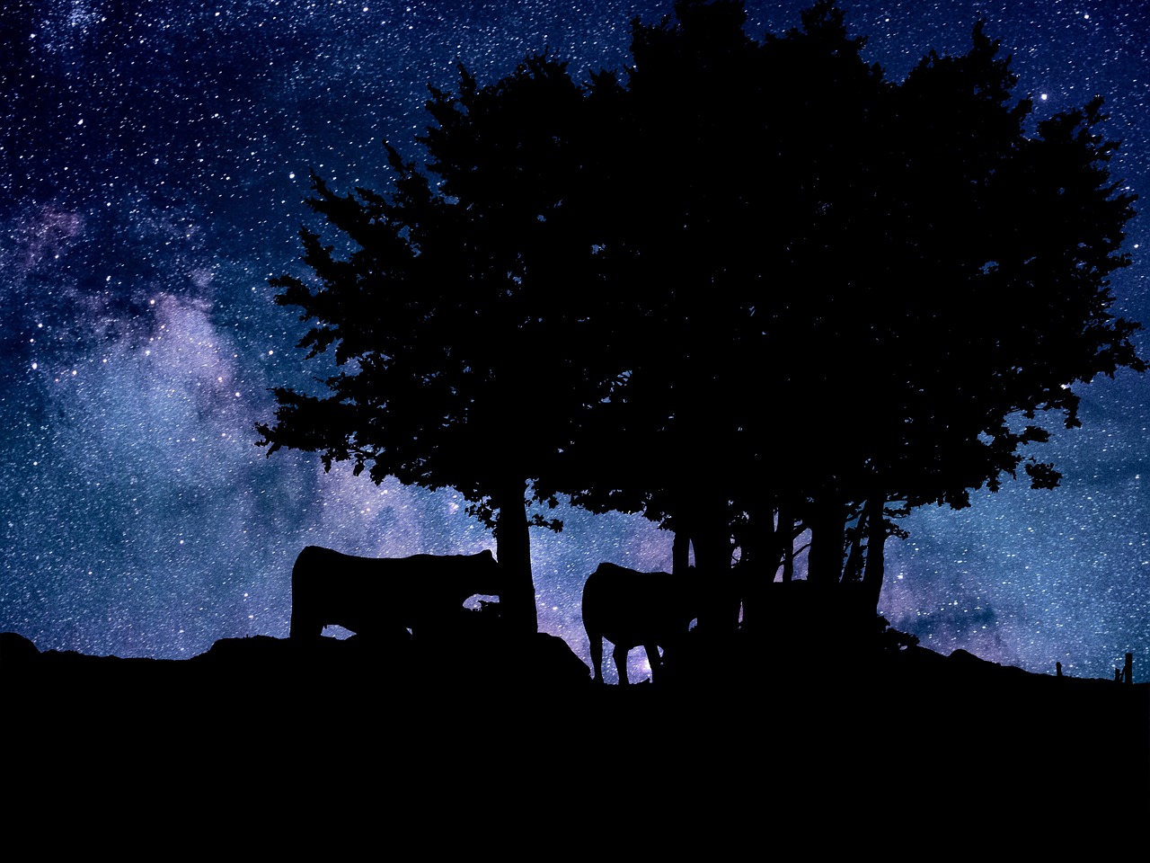 夜晚 天空 星星 - Pixabay上的免费照片 - Pixabay