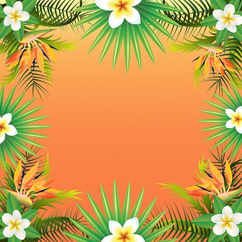 Free Background Wallpaper illustration and picture