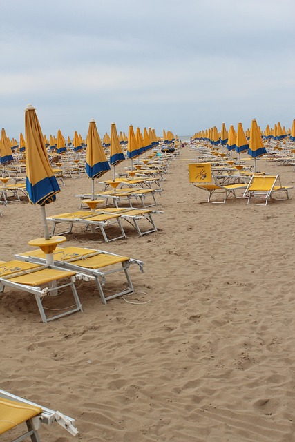 Free Beach Umbrellas photo and picture