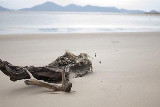 Free Sand Ocean photo and picture