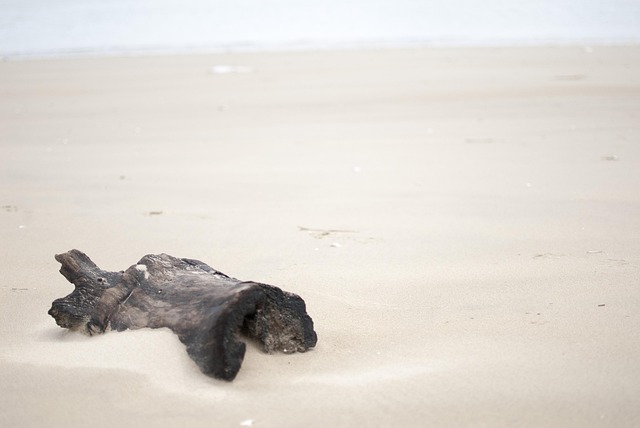 Free Sand Ocean photo and picture