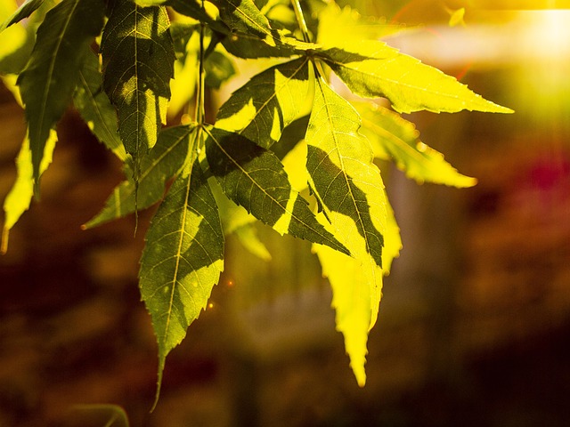 科技部等二十二部门发文进一步规范科研失信行为调查处理工作