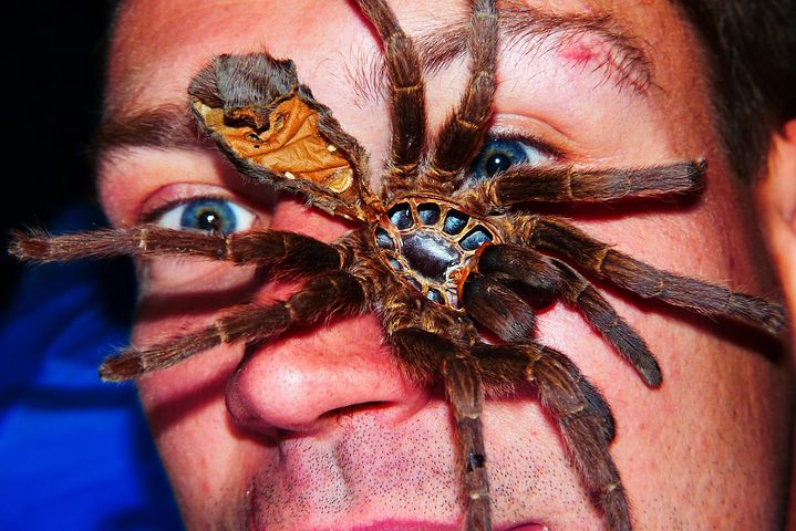 Top 30 Amazing Fact | Animals Facts | Secrets of Animals | Motivational Top 30 Amazing Fact | Animals Facts | Secrets of Animals | Motivational