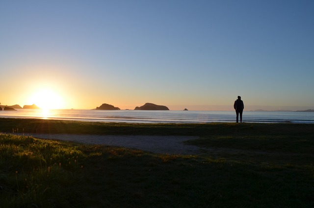 Free Beach New Zealand photo and picture