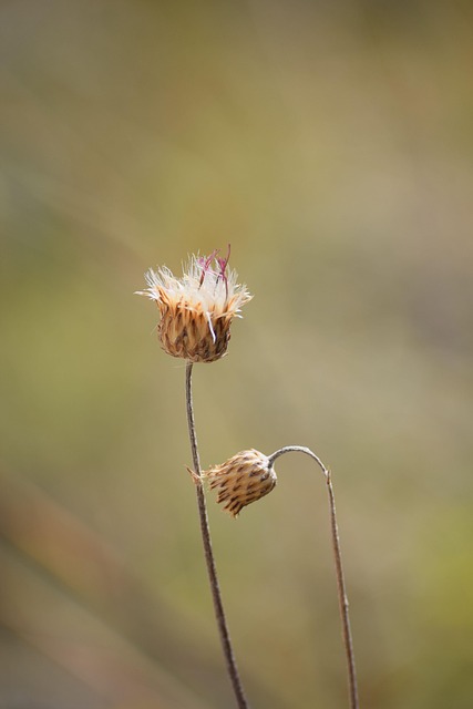 Free Contact Nature photo and picture