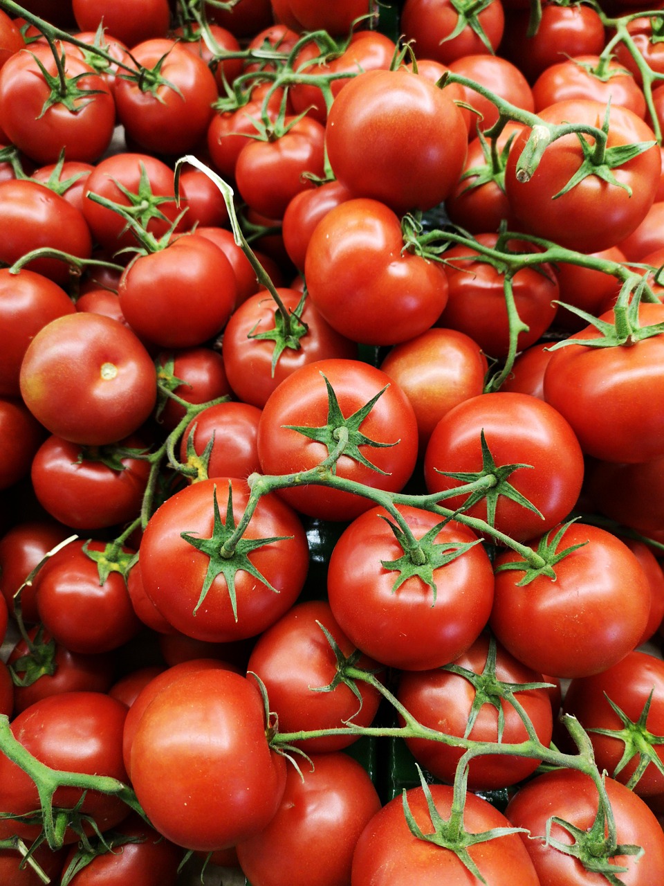 Tomato Red Materials - Free photo on Pixabay - Pixabay