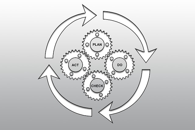 Free process management business illustration