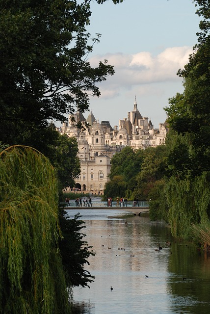 Vegetation, Chateau, Natur, Træ, Park