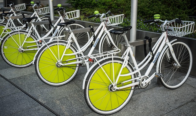 Free Bicycles Bike photo and picture