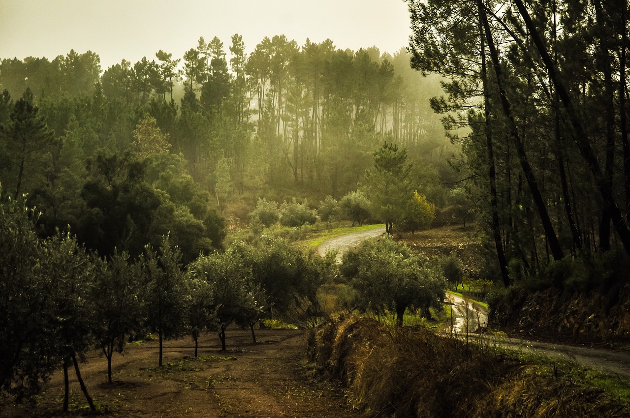 Landscape - free online jigsaw puzzle photo