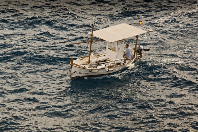 Free Boat Sea photo and picture