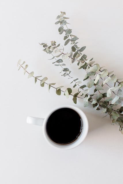 Kaffe, Sukkulenter, Saftige, Kreativ