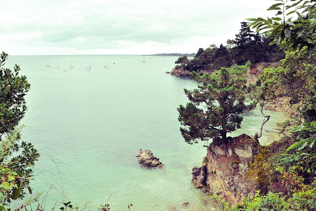 Free Sea Coast photo and picture