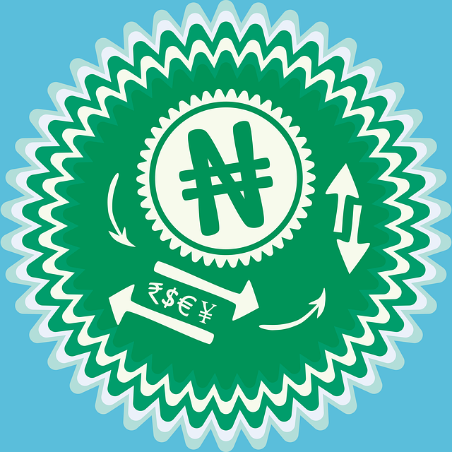 Nigerianske Naira, Nigeria Ngn, N Badge