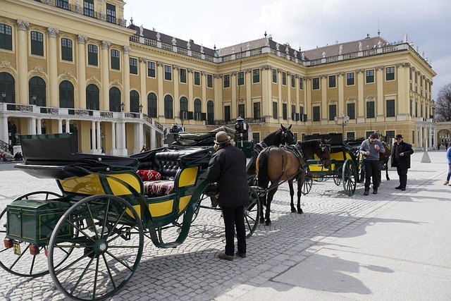 Free Vein Austria photo and picture