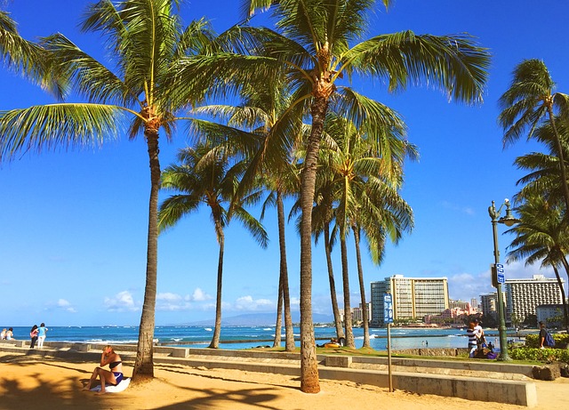 Free Hawaii Honolulu photo and picture