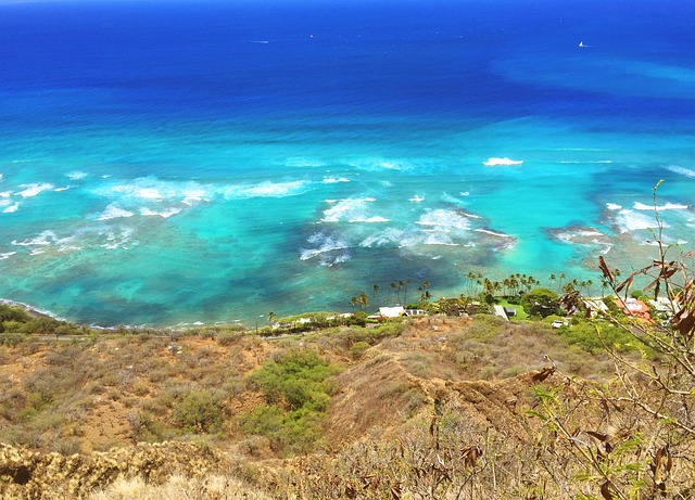 Free United States Of America Hawaii photo and picture
