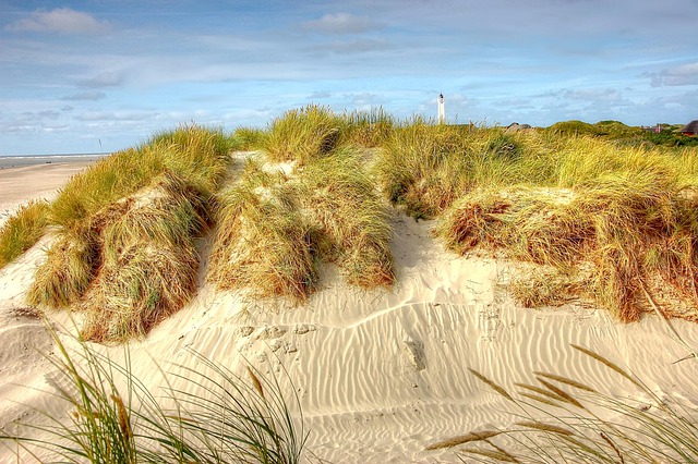 Free Blavand Denmark photo and picture