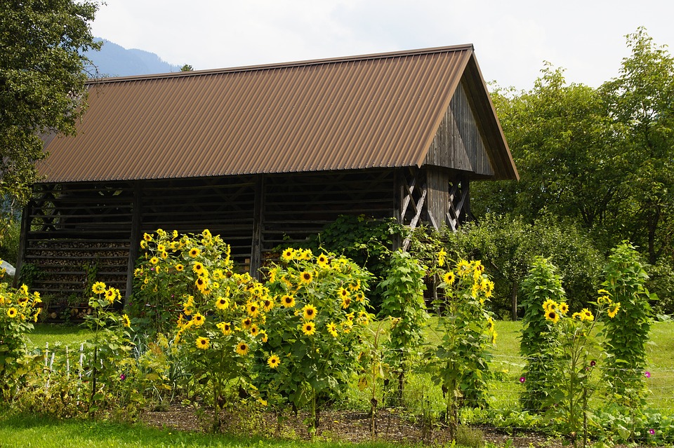 vider une grange cantal